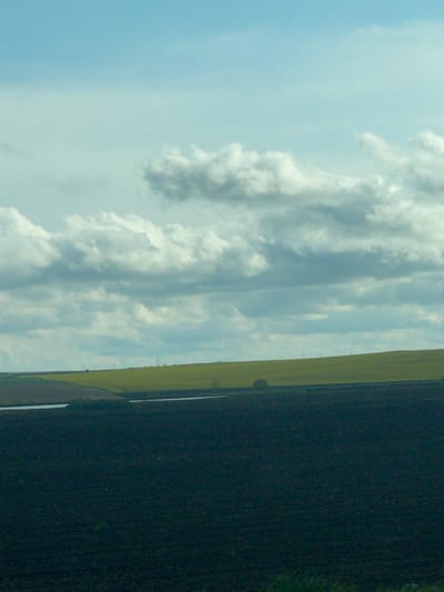 An expansive rural landscape, likely near Vodenichane, Bulgaria, is depicted under a bright, cloudy sky during daytime. The image, when correctly oriented, shows a horizontal division between the sky and the ground.
The upper portion of the scene is dominated by a light blue sky with large, voluminous white and grey cumulus clouds. These clouds vary in density, with some appearing bright and fluffy, while others are softer and more elongated, stretching across the horizon.
The lower half of the image showcases vast agricultural fields. Closer to the horizon, a wide strip of bright yellow field extends, suggesting a blooming crop such as rapeseed or sunflowers. Along this horizon, several wind turbines are visible as small, dark silhouettes, indicating a wind farm. A solitary small tree or bush also stands on the horizon line between the yellow and darker fields. Below the yellow field lies a darker expanse of land, possibly a tilled field or one planted with a darker crop, stretching towards the foreground. A narrow band of green vegetation is discernible along the very bottom edge.
The weather appears fair and clear, with good visibility, typical of a bright day. No people or visible text are present in the image. The scene conveys a sense of peaceful, open agricultural land.