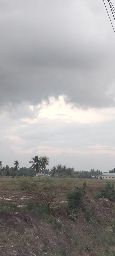 An outdoor, eye-level, medium shot captures a cloudy sky above a rural landscape in Peurupok, Indonesia. The sky is dominated by large, grey clouds with some patches of brighter light peeking through. Below the sky, a field with some vegetation and scattered palm trees extends into the distance. In the mid-ground, several buildings with light-colored walls and dark roofs are visible, partially obscured by the trees. The foreground features dry, brown brush and some green vegetation, suggesting a somewhat arid or uncultivated area. The overall scene depicts a tranquil, natural environment with signs of human settlement in the form of buildings.
