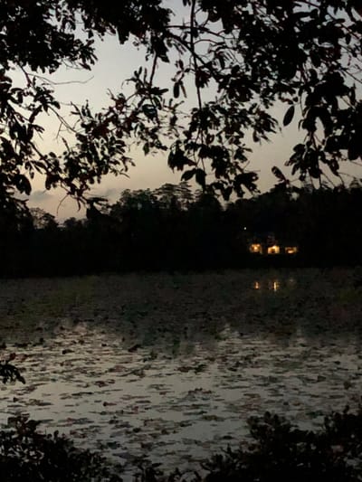 In Moodugamuwa, Sri Lanka, the scene depicts a twilight view of a tranquil body of water, possibly a lake or pond, from beneath the silhouetted branches of trees. The water's surface is dotted with numerous lily pads, creating a textured pattern. In the middle ground, a dense line of trees forms a dark silhouette against the muted sky. A small building, illuminated by warm lights from its windows, is visible nestled within the treeline, its reflection shimmering on the water's surface. The overall atmosphere is serene and quiet, with the fading light casting a soft glow over the landscape.