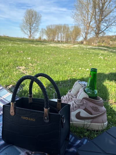 The image depicts a picnic scene in a grassy field in Beli Brod, Bulgaria. An open, empty green Heineken beer bottle is inside a pink and brown Air Jordan shoe, which is on top of a plaid blanket. A black "Fashion & Bags" purse sits nearby. The background shows a field with scattered daisies and trees under a partially cloudy sky. No people are visible.