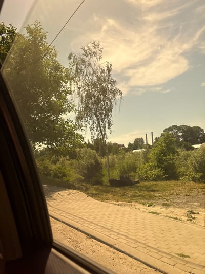 The image depicts a view from a vehicle, looking out through a window onto a sunlit scene. In the foreground, a paved walkway composed of rectangular bricks curves to the right. Adjacent to the walkway is a sandy area with sparse vegetation. Beyond this, a grassy area transitions into a dense collection of green trees and bushes. In the mid-ground, a tall, slender tree, possibly a birch, stands with drooping branches. To the right of this tree, a dark, irregularly shaped object rests on the grass, possibly a discarded tire or log. In the distance, several structures are visible, including two tall, grey industrial chimneys. The sky above is a pale blue with wispy white clouds, illuminated by bright sunlight that casts a warm, slightly yellowish hue over the entire scene. The reflections on the car window are minimal, with the primary visible element being the interior frame of the window on the left side of the image. The overall environment suggests an outdoor setting, possibly on the outskirts of a town or industrial area, consistent with a location like Drohovyzh, Ukraine.