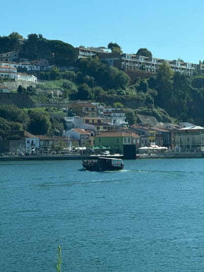The image displays a panoramic view of the Douro River and its north bank in Lordelo do Ouro e Massarelos, Portugal, under a clear, cloudless blue sky. In the midground, a dark-hulled tourist boat, featuring a light-colored canopy over its stern, moves from left to right across the blue-green water, leaving a visible wake. Approximately 10-15 indistinct passengers are visible on board. A single, slender green plant stem protrudes from the extreme bottom center foreground.
The opposite bank reveals a steep, densely vegetated hillside rising directly from the river. Along the water's edge, a paved promenade is visible, lined with multi-story traditional buildings painted in various colors, including white, yellow, green, and brown. Several establishments feature outdoor seating areas with white and green umbrellas. A few individuals and small groups are present on the promenade and seated at these outdoor tables. A white vehicle is partially discernible on the street behind the buildings, and a dark rectangular structure extends into the water from the bank. Further up the hillside, numerous residential buildings with terracotta-tiled roofs are terraced amongst abundant green trees and foliage. Near the top of the slope, a long, modern building with multiple balconies extends horizontally, integrated into the landscape.