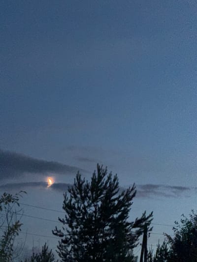 The image captures a twilight scene in Petukhi, Russia. The sky is a deep, muted blue, transitioning from a lighter hue near the horizon. A sliver of the moon, glowing with a warm, orange-yellow light, is visible through thin, wispy clouds that stretch horizontally across the upper left quadrant of the frame. In the foreground, the dark silhouette of a coniferous tree dominates the center, its branches reaching upwards. To the left, the skeletal branches of a deciduous tree are bare. Several power lines are strung horizontally across the middle of the image, supported by a dark pole that is partially obscured by the coniferous tree. The overall impression is one of a quiet, serene evening in a rural or suburban setting.