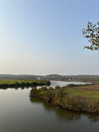 The image shows a river or creek bordered by vegetation and a hill in Salvador du Mundu, India. The body of water fills the right side of the frame, with ripples visible on the surface. The left side is dominated by the sky, which is a gradient of blue to pale white. A tree branch with leaves appears in the upper-left corner. Along the riverbank is a strip of green vegetation, with trees and shrubs visible. A hill covered in trees is on the left. The general lighting suggests daylight. There are no people visible in the image.