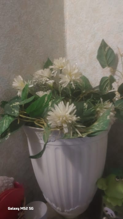 The image depicts a still life arrangement of artificial flowers and foliage within a white, fluted vase. The flowers are creamy white and have a daisy-like appearance with multiple thin petals. Green leaves, some with variegation, are intertwined with the flowers. The vase is positioned in what appears to be an indoor setting, with textured walls in the background. A small, green, frog-shaped figurine is visible to the right of the vase. The bottom left corner of the image contains the text "Galaxy M52 5G" in white lettering, indicating the device used to capture the photograph. The scene does not provide any specific details that would allow for precise localization within the city of Netishyn, Ukraine; it is a generic indoor composition.