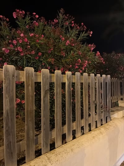 This media file features an outdoor scene at night, possibly in a Mediterranean setting like Eivissa, Spain. The primary subjects are a wooden walkway or bench and lush green foliage with clusters of small pink flowers, likely oleander, which is common in the region. The walkway is constructed from weathered wooden planks, laid horizontally, with visible screws and natural wood grain. The texture of the wood suggests it has been exposed to the elements.
To the left of the walkway, the dense greenery of the flowering plants fills the frame, some branches reaching towards the walkway. The flowers are delicate and numerous, creating a soft pink hue against the dark green leaves. The background on the left is completely black, indicating the darkness of the night.
On the right side of the walkway, there is a textured, light-colored concrete structure, possibly a wall or raised planter, with a rough, speckled surface. The lighting in the scene appears to be artificial, casting a warm glow on the wooden planks and illuminating the flowers and foliage from above or the side, creating subtle shadows.
The overall impression is one of a tranquil, possibly illuminated garden path or seating area at night. There is no visible text in the image, and no people or animals are present. The scene evokes a sense of calm and natural beauty, enhanced by the contrast between the rustic wood, vibrant flora, and the dark night sky.