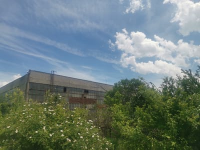 The image depicts an outdoor scene in Zhivkovo, Bulgaria, centered on a large, aging industrial building partially overgrown by vegetation. The building is constructed from concrete or a similar grey material, with a flat roof and numerous large windows along its visible facade. Many of these windows appear broken or boarded up, and a rusty metal ladder or fire escape extends up the right side of the building.
In the foreground and midground, lush green foliage dominates. On the left and center, a large bush covered in small white flowers, possibly wild roses, adds a vibrant contrast to the stark building. To the right, denser trees and shrubs further obscure parts of the structure.
The sky above is bright blue, filled with a variety of clouds. Long, wispy cirrus clouds stretch across the left and middle, while fluffier, white cumulus clouds are clustered on the right, indicating a sunny day with scattered clouds. No people or specific activities are visible, conveying a sense of stillness and natural reclamation. The scene suggests a disused or abandoned industrial site where nature has begun to take over. No discernible text is present in the image.