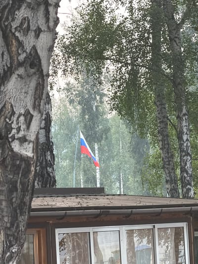 The image shows a Russian flag waving in the wind. The flag is partially obscured by trees and is in front of a building with large windows. The building appears to be a house or a cabin. The trees are tall and leafy, suggesting a natural environment. The lighting is soft and diffused, possibly indicating an overcast day or early morning/late afternoon. There is no visible indication of the city of Parnaya, Russia, in this image.