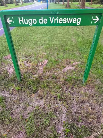 The image shows a green sign with white text that reads "← Hugo de Vriesweg →". The sign is supported by two green metal posts embedded in the ground. The ground is covered with grass and some dry vegetation. In the background, there is a paved path or road, trees, and some buildings or structures. The sign indicates directions to Hugo de Vriesweg, a street in Almere, Netherlands. The scene appears to be outdoors in a park or along a road.