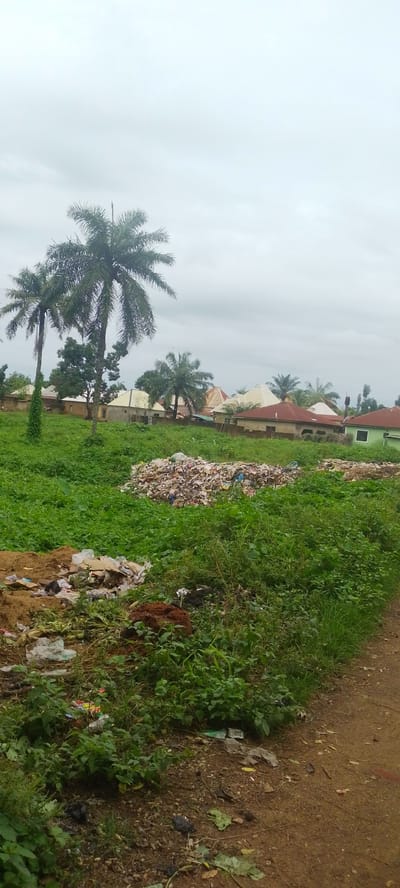 The image depicts an outdoor scene in Baissa, Nigeria, characterized by the presence of overgrown vegetation, scattered refuse, and residential structures. In the foreground, there are piles of mixed debris, including plastic bags, cardboard, and other discarded materials, interspersed with dirt and mud. Further into the scene, a larger mound of trash is visible, further contributing to the unsanitary appearance of the area. Several palm trees are scattered throughout the landscape, with lush green foliage dominating the majority of the frame. In the background, several houses with varying roof colors and construction styles are visible, suggesting a residential neighborhood. The sky is overcast with a dull, gray cloud cover, indicating a likely absence of direct sunlight and possibly an impending rain shower. No individuals are present in the image, and the overall environment suggests a lack of proper waste management.