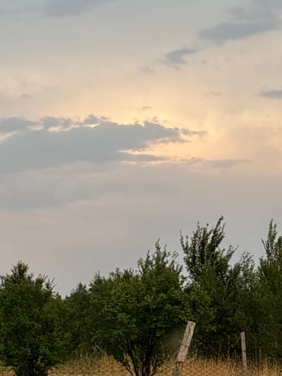 The image captures a segment of the sky over a rural landscape, likely in Жібек жолы ауылдық округі, Kazakhstan. The sky is partially obscured by scattered clouds, with a brighter, yellowish hue indicating diffused sunlight filtering through. Below the sky, a dense line of green trees forms the horizon, with some dry, yellowish grass and a wire fence visible in the foreground, punctuated by two rough wooden posts. No people or animals are present. The scene suggests an outdoor setting, possibly during the late afternoon or early evening.
