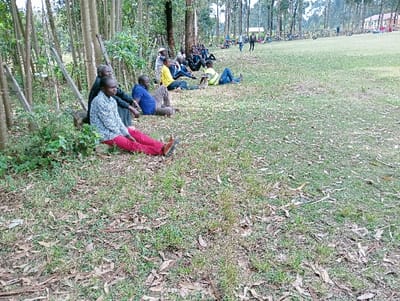 A group of people are sitting on the grass in a park-like setting. Some are leaning against trees. The foreground shows a mixture of grass and fallen leaves. Further away, other people are gathered in a less concentrated group. A building is visible in the distance. The overall impression is one of casual relaxation in a natural environment.
