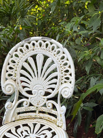 The image shows a section of an ornate, white, cast-iron bench in a garden setting. The bench features intricate scrollwork and a sunburst-like pattern. The white paint is weathered and shows some signs of age and discoloration, with green moss or lichen growing in crevices. The bench is positioned against a backdrop of lush green foliage, with sunlight filtering through the leaves, creating dappled lighting. Some small yellow flowers are visible amongst the greenery, suggesting it is daytime and likely a warm, possibly humid, environment given the dense vegetation. The perspective is a close-up shot, focusing on the decorative elements of the bench and the surrounding natural environment. There is no visible text in the image. The scene evokes a sense of tranquility and a slightly overgrown, natural beauty typical of a garden in a tropical or subtropical climate. Considering the location context of Foz do Iguaçu, Brazil, this setting could be a garden within the city or near the famous Iguaçu Falls.
