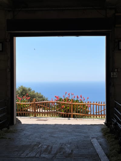 The image shows a view from inside a barn-like structure, looking out through a large, open doorway. The doorway frames a bright, clear blue sky and the deep blue sea in the distance. In the mid-ground, a rustic wooden fence separates the foreground from the sea view, and behind the fence, a line of vibrant red flowers and green foliage are visible. A single bird is flying in the sky above the sea. The floor of the barn is concrete, and straw is scattered on either side, suggesting the presence of animals, possibly goats, as partially visible in the lower left and right corners. The scene appears to be located in Krimovice, Montenegro, given the expansive sea view characteristic of the coastal region.