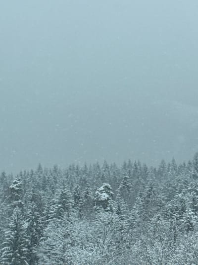 The scene is located in the city of Rdzawka, Poland, depicting a winter forest landscape. The upper portion of the frame features an overcast, pale blue-grey sky with visible falling snowflakes, indicating ongoing precipitation. Below, a dense forest primarily composed of snow-laden conifer trees extends across the lower and middle sections of the image. Interspersed among the conifers are visible bare branches of deciduous trees, also covered with snow. No individuals, animals, or artificial structures are present within the depicted area.