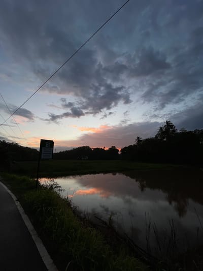 Captured at Kamburugamuwa, Sri Lanka, this low-angle landscape features a narrow asphalt road curving into the foreground, marked by a white edge line on its right side. Adjacent to the road is dense green vegetation bordering what appears to be a body of water, likely a river or lake, reflecting the evening sky. The sky is filled with dark, heavy clouds, partially illuminated by the soft hues of the setting sun, casting a peach-colored glow on the cloud edges. A signpost stands near the road, its text difficult to decipher but potentially indicating an electric vehicle charging station. Overhead, a power line cuts across the sky from the top left, adding a stark contrast to the natural elements. The environment suggests a rural or suburban setting at twilight.