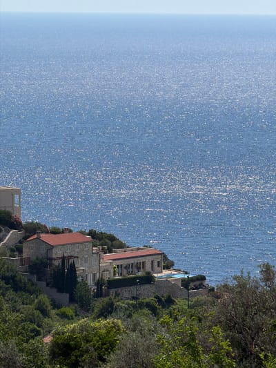 The image displays a sun-drenched ocean view with several buildings situated on a lush, green hillside. The vast expanse of the sea occupies the upper two-thirds of the frame, its surface shimmering with countless sunlit sparkles. The horizon line is clearly defined, separating the deep blue of the sea from a pale blue sky.

In the middle ground, a collection of houses with red-tiled roofs are nestled into the landscape. One prominent building is a large, stone structure with multiple windows and balconies, characteristic of Mediterranean architecture. Adjacent to it, another house features a similar red roof and a more modern extension with large glass windows. A swimming pool, reflecting the sky, is visible on the terrace of one of the properties. The buildings are surrounded by verdant trees and shrubs, with stone retaining walls visible in places, indicating a terraced landscape.

The foreground is dominated by dense green foliage, including trees and bushes, suggesting a natural or semi-cultivated environment. The overall scene evokes a sense of a tranquil coastal retreat in a warm, sunny climate. The location is identified as being in the vicinity of Rijeka Reževići, Montenegro.