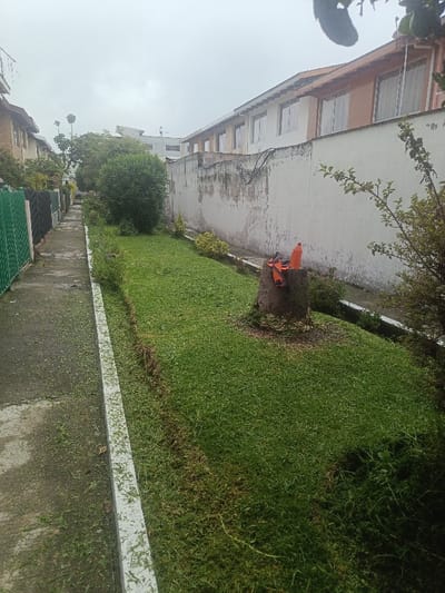 This image captures a residential outdoor scene in Sangolquí, Ecuador, under an overcast sky. The foreground features a concrete sidewalk extending from the lower left, partially covered with freshly cut green grass clippings. A white curb separates the sidewalk from a parallel, well-maintained grassy strip. Positioned on the grassy strip, towards the right side of the frame, is a brown tree stump. Two orange objects, identified as a chainsaw and a plastic bottle, rest on top of the stump. Fungal or moss growth is visible at the stump's base. Behind the grassy area, a weathered, discolored concrete wall separates the space from a multi-story residential building. This building has light-colored walls, some appearing peach or off-white, and features multiple rectangular windows. A dark utility cable is affixed along the upper section of the wall. To the left of the sidewalk, sections of green metal fencing and additional residential structures are partially visible. No individuals are present in the scene.