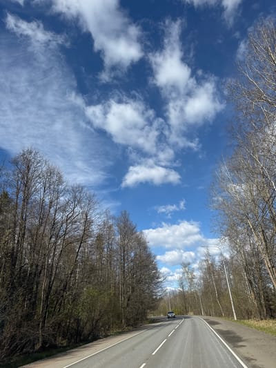 The image captures a scenic view of a road winding through a wooded area in Lomonosov, Russia, on a bright, clear day. The asphalt road features white solid and dashed lines, suggesting a two-lane configuration or a lane with a shoulder, and gently curves towards the left in the distance. A dark-colored car, possibly an SUV or hatchback, is visible on the road, heading away from the viewer.

Both sides of the road are densely lined with deciduous trees, predominantly bare of leaves, indicating either early spring or late autumn. However, hints of light green foliage emerging on some trees suggest it is likely early spring. Scattered among the trees on the right side of the road are several tall streetlights or utility poles.

The sky above is a vibrant blue, adorned with a variety of white clouds. Fluffy cumulus clouds are more prominent on the right side of the sky, while delicate, wispy cirrus clouds stretch across the left, suggesting fair weather. The scene conveys a sense of peaceful travel through the countryside. There is no visible text in the image.