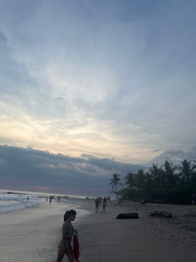 The image shows a beach scene in Cobano District, Costa Rica, located at latitude: 9.634, longitude: -85.161. The image was taken in the late afternoon as the sun is setting over the ocean. Several people are walking along the beach, some in swimwear, while others are fully clothed. The beach is mostly empty with only a few palm trees lining the shore. The sky is overcast with light gray clouds, but the horizon is painted with soft hues of pink and orange, indicating the time of sunset. There is a large log lying on the sand in the foreground. The scene is tranquil and serene.
