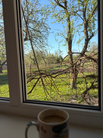 The image shows a view from inside a building, looking out through a white-framed window. The outside scene is dominated by trees with sparse green leaves against a blue sky in the upper-left, while the right side features a scene of green vegetation and flowering yellow plants. A wooden fence can be seen in the mid-ground. A partially visible mug sits on the window sill to the right. The image suggests a rural or suburban location in Скідзельскі сельскі Савет, Belarus.