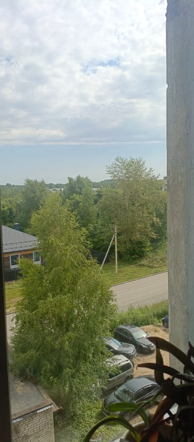 The image presents a view from a window in Sokol, Russia, overlooking a suburban landscape. In the foreground, a rough concrete pillar occupies the right side of the frame. Below the window ledge, a brick wall and part of a flat roof are visible.
The midground features a dense canopy of green trees, with a prominent birch tree with light-colored bark and a full head of leaves dominating the center-left. A paved road runs horizontally across the scene, bordered by green grass and vegetation. Several parked cars are visible along the road and on a dirt area to its right, including a dark-colored sedan in the lower right, a silver SUV, and two other dark sedans. A single utility pole with crossbars stands to the right of the birch tree, with wires extending out of frame. A modern house with a dark, pitched roof and two visible windows is situated to the left, behind a black fence.
The background shows a further expanse of trees and buildings, suggesting a residential area with some distance. The sky above is partly cloudy, with a mixture of white and gray clouds against a pale blue sky. The lighting indicates daylight, likely overcast or early morning/late afternoon given the soft light. There are no people visible in the scene.
