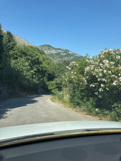 A narrow, paved road curves through a lush, green landscape under a clear blue sky. The road appears to be a scenic route, possibly in a rural or mountainous area. On the right side of the road, a large flowering bush with white blossoms is in full bloom, contrasting with the dense green foliage of trees and shrubs that line the road. In the background, a mountain range with rocky, uneven slopes is visible. The image seems to be taken from a vehicle, with the top of the dashboard and windshield visible in the foreground, suggesting the perspective of a driver or passenger. The overall impression is one of a bright, sunny day in a natural setting, possibly a drive through the countryside.