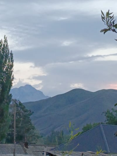 This is a photograph of a landscape in the city of Kyzyl-Suu, Kyrgyzstan. The image depicts a mountainous terrain with rolling hills in the foreground and a prominent, sharp peak in the distance, shrouded in atmospheric haze. The sky is overcast with soft, gray clouds, suggesting either early morning or late evening. To the left, a tall, slender tree with dense foliage stands prominently, with a smaller cluster of trees and foliage behind it. In the lower portion of the image, the dark, textured roofs of several buildings are visible, with some evidence of wooden structures and what appears to be a utility pole. A branch with green leaves is silhouetted against the sky in the upper right corner.