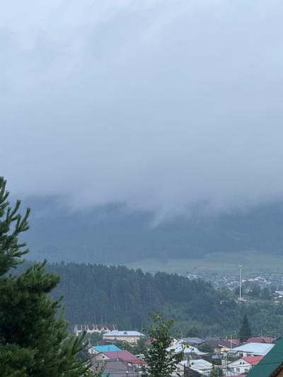 The image depicts a misty, overcast day in Kusa, Russia, with a dense coniferous forest dominating the middle ground. In the foreground, a portion of a large evergreen tree branches into the frame. Below the forest, a settlement of houses with variously colored roofs, including blue, pink, and grey, is visible. A tall, slender telecommunications tower stands out against the treeline in the distance, and the sky is filled with heavy, low-lying clouds that obscure the mountain range beyond. The scene suggests a rural or semi-rural setting, possibly a village or the outskirts of a town, characterized by natural elements and residential structures.