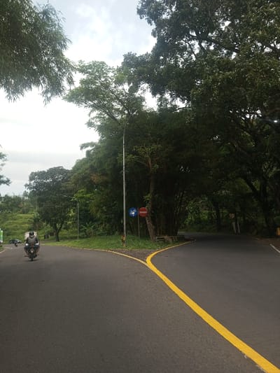 The image depicts a paved road fork in Niz Lakuk, India, under an overcast sky. The dark asphalt road is marked by a solid yellow line that splits into two paths: a left fork continuing generally straight, and a right fork curving sharply right and disappearing into dense foliage. At the apex of the fork stands a tall, grey metal streetlight pole. To the right of the streetlight, two circular traffic signs are mounted on a shorter pole: a blue sign with a white horn symbol (indicating "Sound Horn") and a red sign with a white horizontal bar (indicating "No Entry"). The environment is characterized by abundant green vegetation; dense trees with dark leaves and bamboo-like stalks line both sides of the road, forming a natural canopy over the right fork. A green, treed hillside is visible in the background to the left. A single individual on a dark motorcycle, wearing a light-colored helmet and dark clothing, is observed traveling away from the viewer on the left road fork. Further down this left fork, two indistinct dark vehicles are also visible. There are no other immediate human interactions or specific actions evident in the scene.