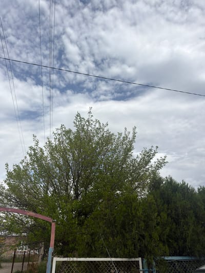 The image depicts a view towards the sky in what is likely Dimitrov, Armenia. The sky is filled with white, puffy clouds with patches of blue visible in between. Overhead power lines cut across the sky. To the right, there is a dense green tree and a section of chain-link fence with a partial metal gate. At the bottom right, there are glimpses of building and sidewalk. No people are visible.