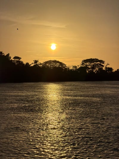 A vertical medium-shot captures a sunset over water, possibly a river or lake, in Mata De Caña, Colombia. The sky is a gradient of yellow, with the sun prominent in the left half of the frame. A line of trees and vegetation forms a dark silhouette against the bright sky. The right half of the image shows the water, reflecting the sunlight in shimmering vertical lines. A few birds are visible in the sky, and the water surface appears slightly rippled.