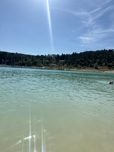 In Maisod, France, on a clear day, the calm, turquoise waters of a lake stretch towards a tree-lined shore. A dense forest covers the rolling hills in the background, with a few buildings and a road visible through the trees. Along the shore, a small beach is dotted with people enjoying the sun. Several sailboats are moored in the lake near the shore. In the foreground, two people are swimming in the water. The sun shines brightly, casting shimmering reflections on the water's surface.