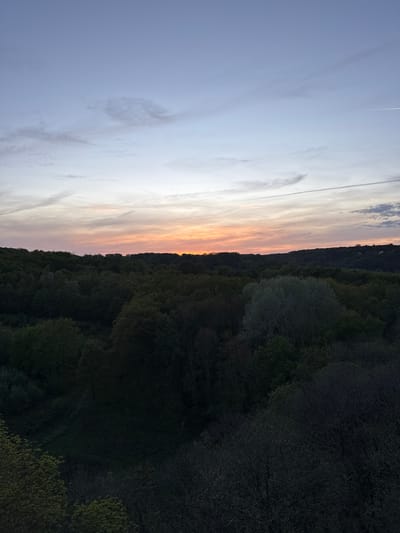 This image depicts a serene natural landscape at either sunrise or sunset, showcasing a vast expanse of sky and a dense forest. The sky, occupying the upper two-thirds of the frame, transitions from a soft light blue at the zenith to vibrant warm hues of orange, pink, and light yellow along the horizon line. Wispy, elongated clouds stretch across the sky, with a subtle airplane contrail visible in the upper left.
Below the colorful horizon, a dense treeline forms a dark, undulating silhouette. The forest appears deep and lush, with shades of green foliage visible on some trees, while others exhibit the intricate, bare branches typical of deciduous trees in cooler seasons or deep shadow. The overall darkness of the forest suggests the low light conditions of dawn or dusk.
The scene conveys a sense of tranquility and natural beauty, devoid of any visible human activity, people, or artificial structures. The notable details include the striking color gradient of the sky, indicating the time of day is either sunrise or sunset, and the texture of the forested landscape. No text is visible in the media file. Given the context, this is a view from Bures-sur-Yvette, France.