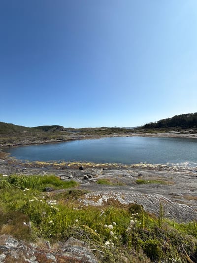 This is a vertical, eye-level, outdoor, full shot of a tranquil lake in Rong, Norway. The sky is a clear, cloudless blue and occupies the top third of the image. Below the sky, the lake is a deep, calm blue, reflecting the clear sky. The lake is surrounded by rocky terrain with sparse patches of green grass and small white wildflowers growing in the foreground. In the background, rolling hills covered in dark green trees rise up from the rocky landscape. The overall impression is one of peaceful, natural beauty.