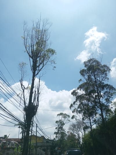 The image shows a street scene in Kioumaknao 2, Laos, under a bright blue sky with scattered white clouds. Utility wires crisscross the upper left of the frame, obscuring parts of a tall, partially bare tree with some green leaves. Another tree, covered in green foliage, stands to the right. In the background, there are buildings with tiled roofs, some greenery, and a possible road with a vehicle on it. Vegetation lines the right side of the scene.