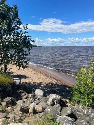 An eye-level, wide shot captures a serene natural scene on the shore of Lake Beloye in Belozersk, Russia. In the foreground, a rocky embankment is laden with various-sized stones, interspersed with patches of green grass and small yellow wildflowers. To the left, a tall tree with pale bark and lush green leaves casts dappled shadows onto the sandy beach. The beach slopes gently towards the dark, rippling water of the lake, with small waves lapping at the shore. In the mid-ground, the expansive lake stretches to the horizon, meeting a clear blue sky dotted with fluffy white clouds. A distant, tree-lined shore is visible across the water. A small green bush is situated to the right of the frame, in front of the rocky embankment. The lighting suggests a sunny day with the sun positioned to the left and slightly behind the viewer, casting long shadows. No people are present in the image.