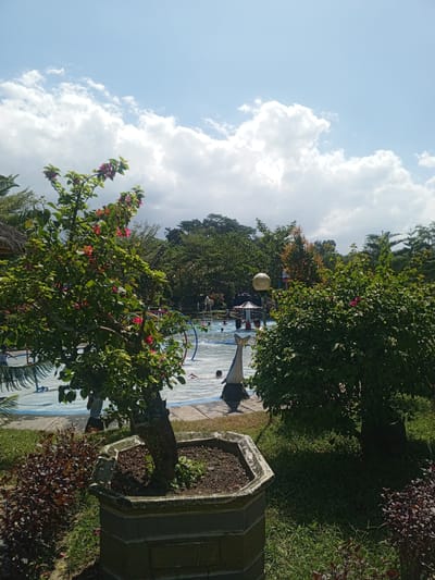 The image captures a lively outdoor scene, likely at a water park, under a bright, partly cloudy sky. In the foreground, a potted bougainvillea tree with vibrant pink flowers stands to the left, and a dense green bush is positioned to the right. Behind these plants, a swimming pool is visible, with several people enjoying themselves. Some are in the water, while others are near the edge. A statue of a dolphin or whale tail rises from the water's edge. Lush green trees and vegetation surround the pool, indicating a tropical or sub-tropical environment. A thatched-roof structure, possibly a hut or shelter, is partially visible on the far left. The overall impression is one of a recreational area in a well-maintained park setting.