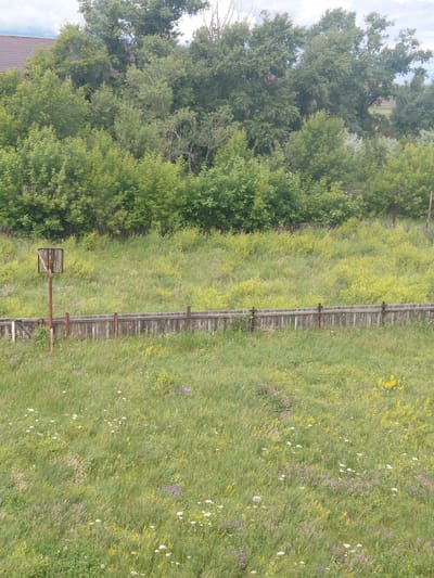 The image shows a field with a wooden fence and trees. The field is covered in green grass and yellow and purple flowers. The trees are on the left side of the image and are a mix of deciduous and coniferous trees. The fence runs along the right side of the image and appears to be made of wooden posts and planks. There is a small wooden structure attached to the fence, which could be a signpost or a gate. The scene appears to be a rural or natural setting, possibly a meadow or a park. The lighting suggests it is daytime, and the weather appears to be clear. The image is taken from a slightly elevated angle, looking down onto the field and fence. The overall impression is one of a peaceful, natural landscape. There is no visible text in the image. The location context provided is Svetlogorsk, Russia.