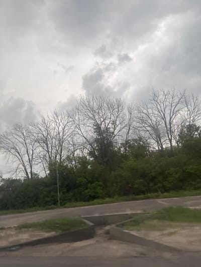 The image shows a street scene in Екатериновка, Russia. The sky is overcast with grey clouds. A row of leafless trees lines the street on the left. To the right of the trees, there is a strip of green foliage or bushes. A paved road with a curb or edge runs along the right side of the frame. There are no people visible.