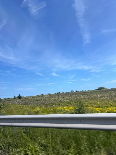 This vertically oriented image captures a bright, sunlit rural landscape under a clear blue sky. The sky, which occupies the majority of the upper frame, features scattered, wispy white clouds. Below the horizon line, the terrain consists of a field or hillside with a mix of cultivated brown soil, vibrant green grass, and numerous wildflowers, predominantly yellow, with some scattered red blooms. Small trees and bushes line the distant horizon.
A prominent light gray metal guardrail, composed of two horizontal bars, runs diagonally across the lower right portion of the image. The immediate foreground on the far right shows blurred green grass, suggesting the photograph was taken from a moving vehicle. In the upper left corner, faint reflections or glares are visible, likely from a window. The scene is bathed in strong daylight, indicating a sunny day, probably around mid-day. The environment suggests an open, natural area, consistent with the Kumanovo region in Bulgaria. No discernible text is present in the image.
