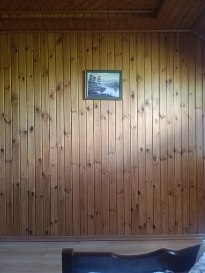 The image shows an interior wall paneled with vertical light brown wooden planks. A framed landscape painting hangs on the wall. The painting depicts trees and a body of water with a distant, hazy sky. The lower portion of the image shows the edge of a dark wooden furniture piece, possibly a bed frame, with a white and blue patterned fabric partially visible. The floor in front of the wall is made of light-colored wood. The lighting suggests an indoor environment with natural light coming from an unseen source. This scene is located in Oxentea, Moldova.
