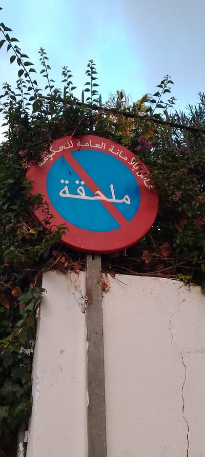 A slightly low-angle shot captures a circular red and blue sign in Aïn El Aouda, Morocco, partially obscured by dense green foliage, against a clear, light blue sky. The sign features a bold red outer ring and a central blue circle with a red diagonal slash across it, typically indicating a restriction. White Arabic text is prominently displayed on the sign. The large text in the center reads "ملحقة" (Mulhaqah), meaning "Annex." Along the top edge of the red ring, smaller text in white states "خاص بالأمانة العامة للحكومة" (Khass bil-Amanah al-'Ammah lil-Hukoomah), which translates to "Specific to the General Secretariat of the Government." This suggests a reserved or restricted area for a government annex.
The sign is mounted on a grey metal pole, which extends downwards, partially alongside a textured white wall or fence. This wall shows signs of wear, including some cracks and peeling paint. The green foliage, comprising vines, leaves, and small branches, heavily frames the sign, particularly from the left and top, with some branches extending towards the sky. Small pink flowers are visible within the greenery. Above the foliage, a dark metal fence or railing with pointed spikes is partially visible. The scene is illuminated by natural daylight, indicating fair weather. No people or active events are depicted, presenting a static street or property boundary scene.