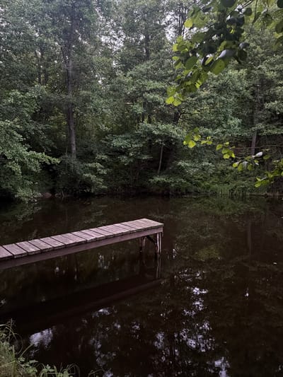 A wooden dock extends from the left side of the image into a dark, still body of water. The dock is constructed of planks and supported by wooden posts that are submerged in the water. The surrounding environment is dense with lush green trees, forming a thick forest that borders the water's edge. The trees are tall and their leaves create a canopy that filters the light, giving the scene a somewhat dim and shaded appearance. The water's surface reflects the trees and the sky, creating a mirror-like effect. The overall impression is one of natural tranquility and seclusion. The location is identified as Gaiļi, Latvia. There are no people or animals visible in the image.