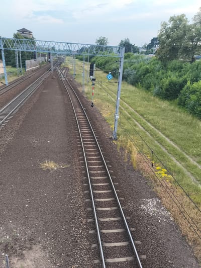 This image captures a railway landscape in Nowy Dwór Mazowiecki, Poland. The scene is dominated by multiple sets of train tracks, with the foreground showing a close-up of a track running diagonally from the bottom right towards the center. The tracks are laid on a bed of dark gravel. To the left, another set of tracks runs parallel, also on gravel. In the distance, the tracks curve and merge, with overhead power lines supported by tall, grey poles visible throughout the scene.
One of these poles features a signal light with red and green indicators and a blue diamond-shaped sign with a white border. Another pole further back has a white number "44" on it. Overhead, a complex metal structure, likely part of the railway infrastructure, spans across the tracks.
The surrounding environment is lush and green, with dense bushes and trees lining the right side of the image. Patches of dry grass and small yellow wildflowers are scattered along the embankment. In the far distance, a few buildings and more trees are visible under a cloudy sky, suggesting it is daytime. The overall impression is one of a functional railway environment with a natural, overgrown setting. There are no people visible in the image.