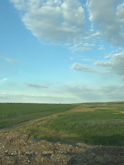 This is a landscape photograph taken in Rozovka, Russia, likely during the daytime. The image captures a rural scene with a vast green field on the right, stretching towards the horizon. The field appears to be cultivated, possibly with crops like sunflowers or corn, given its uniform green color and dense texture. A dirt track or road runs along the edge of the field, dividing it from the rougher terrain on the far right. This terrain is characterized by rocky, gravelly ground with patches of dry grass.
The left side of the image is dominated by a bright blue sky with scattered white clouds. These clouds are soft and billowy, suggesting fair weather. The light indicates it is likely daytime, possibly late afternoon or early morning, as the light is not overly harsh. There are no people or distinct man-made objects visible, emphasizing the natural and agricultural setting. The overall mood conveyed is one of tranquility and expansiveness, typical of open rural landscapes. There is no visible text in the image.