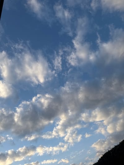 The image is a sky view with clouds, taken from the ground, with a portion of a dark green foliage visible in the bottom right corner, obscuring a small section of the sky. The clouds are varied in size and density, with some appearing white and fluffy, illuminated by sunlight, while others are darker and more diffused, suggesting they are higher in the atmosphere or catching less light. The sky itself is a clear blue, visible in the gaps between the clouds. No people, animals, or man-made structures are distinctly visible in the sky portion of the image. The foliage at the bottom suggests a natural or semi-natural setting, possibly a park or the edge of a wooded area within or near Stolberg, Germany. The lighting suggests it may be late afternoon or early morning, given the variation in cloud illumination.