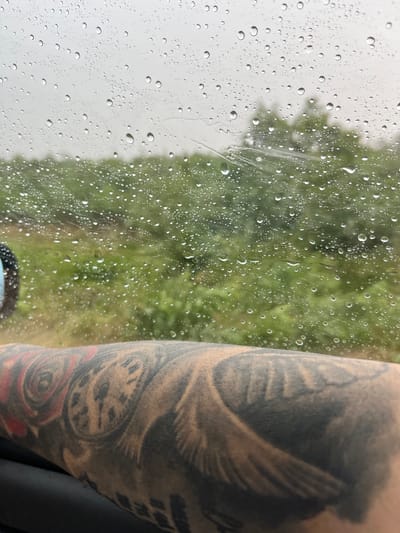 The image shows a close-up view of a person's tattooed arm next to a window with raindrops. The arm is covered in dark ink tattoos, featuring imagery of wings, a clock, and a rose. The tattoos are detailed and appear to be in various stages of completion or style. The background visible through the window is out of focus, depicting a blurry green landscape, likely trees and foliage, suggesting an outdoor setting. The raindrops on the window are prominent, obscuring the view slightly and indicating that it is raining or has recently rained. The lighting suggests it is daytime, possibly overcast due to the rain. The overall mood is somewhat introspective, with the rain and the close-up focus on the arm and its artwork creating a personal and intimate feel. The location context of Zlatina, Bulgaria, does not provide specific visual cues within the image itself, but it grounds the scene geographically. There is no visible text in the image.