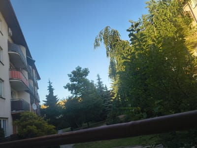 The image depicts a view of a residential building and surrounding greenery under a clear blue sky. The building, a multi-story structure with balconies and windows, is situated on the left side of the frame. To the right, various trees, including a weeping willow and several evergreens, are visible. A dark, horizontal railing runs across the foreground, partially obscuring the lower portion of the scene. The presence of a satellite dish mounted on the building and an air conditioning unit suggests an urban or suburban setting. The light and shadows indicate it is likely daytime, possibly late afternoon due to the warm tones on the right side of the building. This scene is located in the city of Grójec, Poland.