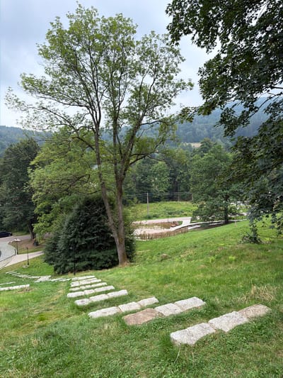 The image shows a steep, grassy slope with a set of large, flat stone steps leading down from the upper right portion of the frame towards the lower left. The steps are irregular in shape and size and appear to be embedded in the lawn. Lush green grass covers the slope. In the background, a dense forest of deciduous and coniferous trees covers rolling hills under a cloudy sky. A paved pathway with some benches and a small water feature is visible in the mid-ground. A large deciduous tree with a thick trunk and a sprawling canopy stands prominently on the right side of the frame, partially obscuring the view of the background. On the left side, a black car is parked on a curved paved driveway. The overall scene suggests a park or garden area in a mountainous or hilly region. This location is consistent with the natural landscape found in Świeradów-Zdrój, Poland, a town known for its spa facilities and surrounding natural beauty.